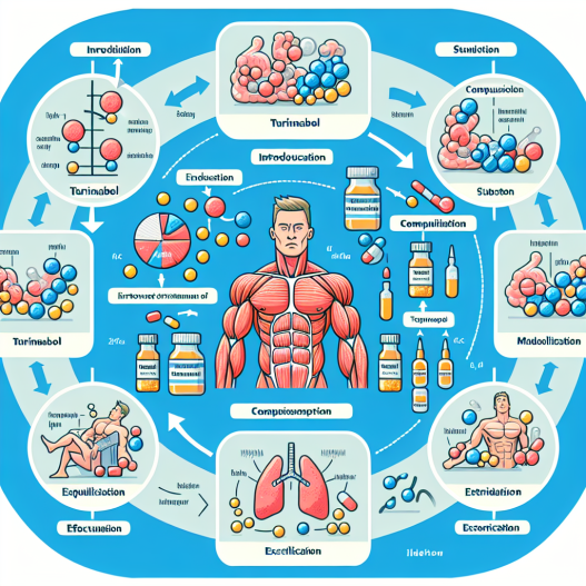 Recomposition cycle with turinabol