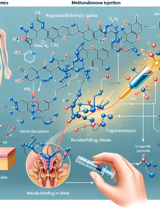 Pharmacodynamics of methandienone injection: receptor binding and signal pathways